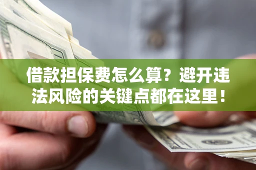 济南借款担保费怎么算？避开违法风险的关键点都在这里！