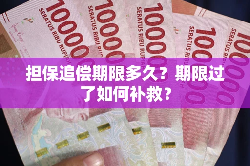 济南担保追偿期限多久？期限过了如何补救？