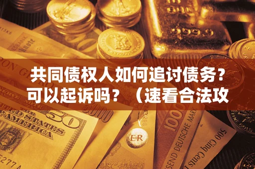 济南共同债权人如何追讨债务？可以起诉吗？（速看合法攻略）